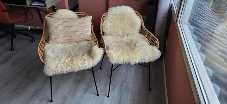 Rotan Eetkamerstoelen 2x, Huis en Inrichting, Stoelen, Gebruikt, Twee, Bruin, Ophalen