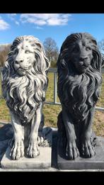 Leeuw 80cm 90kg Leeuwen Paar Tijger Steen Beeldje Lion, Nieuw, Beton, Ophalen of Verzenden, Dierenbeeld