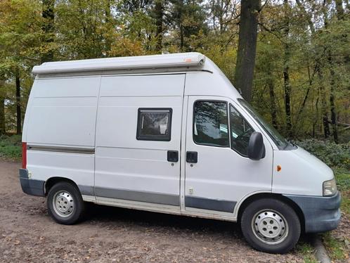 Fiat Ducato camperbusje, Caravans en Kamperen, Campers, Particulier, tot en met 2, Buscamper of Camperbus, Fiat, Diesel, 4 tot 5 meter