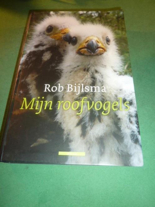 Mijn roofvogels Rob Bijlsma, Boeken, Natuur, Zo goed als nieuw, Ophalen of Verzenden