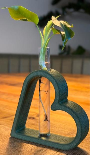 Planten stekbuisje inclusief houder hart vorm beschikbaar voor biedingen