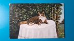 Poes kat liggend op tafel 1906, Verzamelen, Ansichtkaarten | Dieren, Ophalen of Verzenden, Voor 1920, Gelopen, Hond of Kat