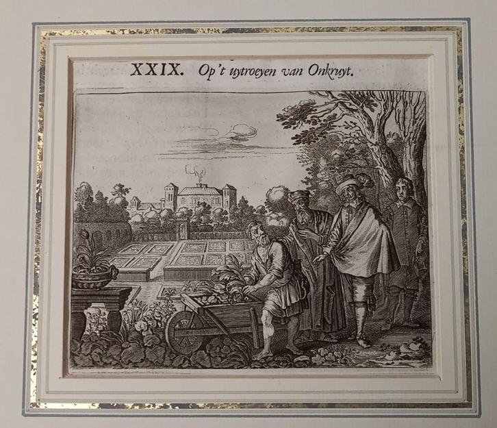 A66-8 Cats - Gezegde Op 't uytroeyen van Onkruyt, Antiek en Kunst, Kunst | Etsen en Gravures, Ophalen of Verzenden