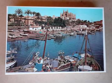 Te Koop 750 stukjes Palma de Mallorca boten water palmbomen