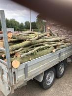 Te koop stookhout haardhout beukenhout, Tuin en Terras, Haardhout, Minder dan 3 m³, Ophalen, Beukenhout, Stammen