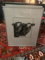 Jaap van Dijk - Schilderij Koeien - 41x51cm, Ophalen of Verzenden