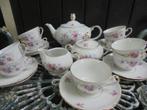 Theeservies Rieber Bavaria met roze roosjes en blauwe bloem, Antiek en Kunst, Antiek | Servies compleet, Ophalen of Verzenden