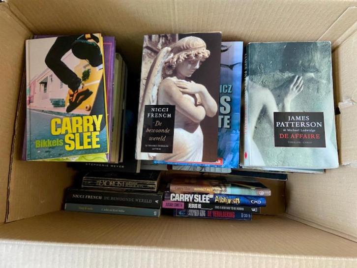 VERZAMELING BOEKEN TE KOOP, Boeken, Partijen en Verzamelingen, Gelezen, Verschillende onderwerpen, Ophalen of Verzenden