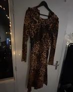 Colourful Rebel luipaard jurk, maat L, Kleding | Dames, Jurken, Ophalen of Verzenden, Zo goed als nieuw, Maat 42/44 (L), Boven de knie