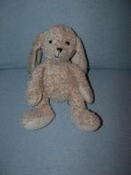 € 100 beloning wie heeft coco gezien?, Ophalen of Verzenden, Gebruikt, Konijn