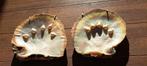 2 stuks Schelpen . Leuk voor verzamelen of cadeautje, Antiek en Kunst, Ophalen of Verzenden