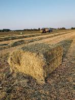 1e snee paarden hooi, Ophalen of Verzenden, Vee