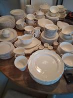 Wedgwood Queens Plain SERVIES Nieuw, Overige typen, Nieuw, Ophalen of Verzenden, Wedgwood