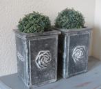 Twee brocante grijze potten met buxus bollen, Ophalen of Verzenden