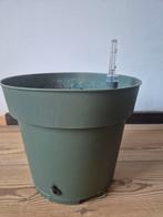 2x Beautanic Lifestyle Hydropot , gratis Philodendron Campii, Tuin en Terras, Bloempotten, Ophalen, Kunststof, Gebruikt, Rond
