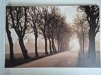 Ikea canvas Pjätteryd - weg met bomen, Huis en Inrichting, Woonaccessoires | Schilderijen, Tekeningen en Foto's, Ophalen, Zo goed als nieuw