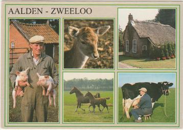 AALDEN ZWEELOO Boer Paarden Boerderij Melken  beschikbaar voor biedingen