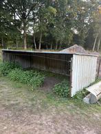 Schuilhok, Dieren en Toebehoren, Schapen, Geiten en Varkens, Schaap