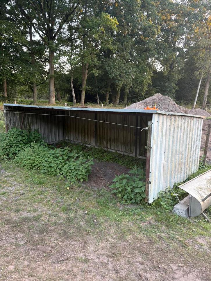 Schuilhok, Dieren en Toebehoren, Schapen, Geiten en Varkens, Schaap