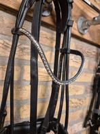 Nieuw BR hoofdstel cob, Dieren en Toebehoren, Ophalen of Verzenden, Nieuw, Dressuur