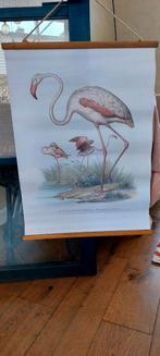 Flamingo rolprent, Ophalen of Verzenden, 50 tot 75 cm, Schilderij, Minder dan 50 cm