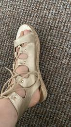 Schoenen nooit gebruikt, Sport en Fitness, Ophalen of Verzenden, Nieuw, Schoenen