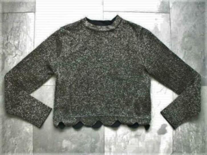ZARA zwart glitter truitje, maat S (qwe), Kleding | Dames, Truien en Vesten, Zo goed als nieuw, Maat 36 (S), Zwart, Ophalen of Verzenden