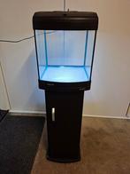 Aquarium Superfish Aqua 40 met gratis advies (R), Ophalen, Zo goed als nieuw, Leeg aquarium