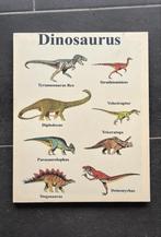Dinosaurus canvas dino dino’s schoolplaat schilderoj, Antiek en Kunst, Ophalen of Verzenden, Natuur en Biologie