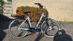 Elektrische fiets Stella Livorno, 51 tot 55 cm, Ophalen