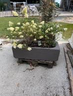 originele antieke plantenbakken, Tuin en Terras, Bloembakken en Plantenbakken, Ophalen, Gebruikt, Minder dan 60 cm, Vierkant