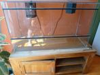Terrarium met onderkast, Ophalen, Gebruikt, Terrarium of Paludarium
