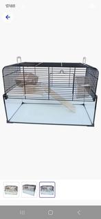 Glazen hamsterkooi, Dieren en Toebehoren, Knaagdieren en Konijnen | Hokken en Kooien, Kooi, Minder dan 75 cm, Zo goed als nieuw