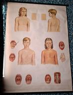 Anatomische Poster, Verzenden, Natuur en Biologie