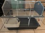 Cavia beer inclusief alle toebehoren, Dieren en Toebehoren, Kooi, Zo goed als nieuw, 75 tot 110 cm, Cavia