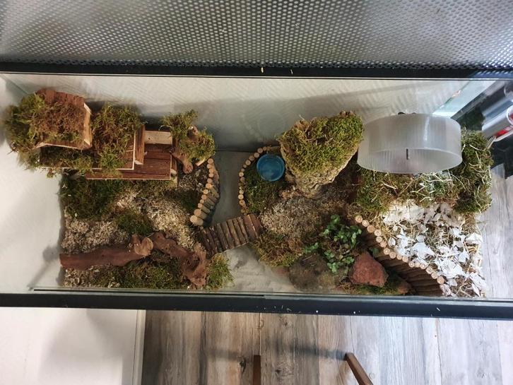 Hamsterkooi voor Hamsterscaping – Glas met Schuifruitdeuren, Dieren en Toebehoren, Knaagdieren en Konijnen | Hokken en Kooien