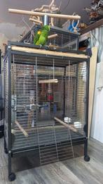 3 x Amazone Papegaaivogel kooi, Dieren en Toebehoren, Vogels | Hokken en Kooien, Ophalen, Zo goed als nieuw, Metaal, Vogelkooi