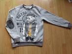 Stoere grijze trui met zachte, warme binnenkant, mt 158, Ophalen of Verzenden, Gebruikt, Jongen, Trui of Vest