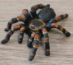 Schleich spin, Verzamelen, Dierenverzamelingen, Ophalen of Verzenden