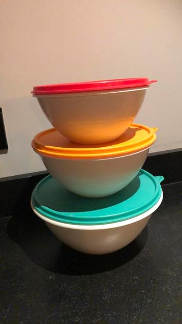 2 tupperware schalen met deksel, verschillende maten beschikbaar voor biedingen