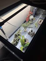 Aquarium rechthoekig, Ophalen of Verzenden, Nieuw, Leeg aquarium