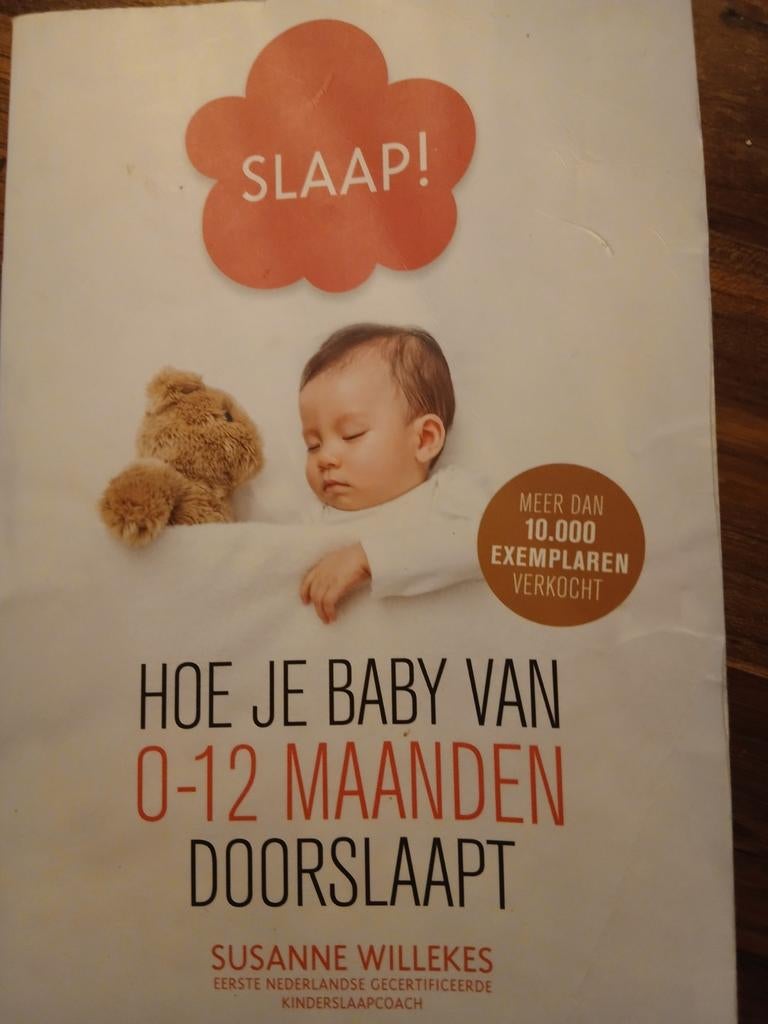 Hoe je baby doorslaapt (0-12 maanden) - Susanne Willekes, Boeken, Zwangerschap en Opvoeding, Ophalen of Verzenden, Zo goed als nieuw