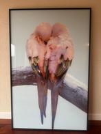 Coco Maison Foto Lovebirds - 90 x 140 cm, Ophalen, Zo goed als nieuw, 75 tot 100 cm, Foto of Poster