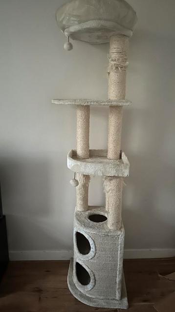 Hoge krabpaal in crème beschikbaar voor biedingen