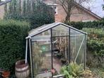Glazen kweek kas (2,5x3,5m) -, Ophalen, Overige materialen, Gebruikt, Kweekkas