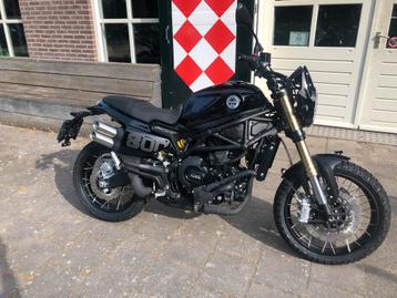 Benelli LEONCINO 800 TRAIL ABS (bj 2025) beschikbaar voor biedingen
