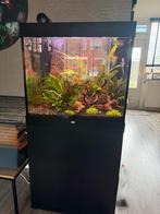 Juwel Lido 200 zwart met meubel, vissen en accessoires, Ophalen, Zo goed als nieuw, Gevuld zoetwateraquarium