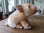 Lief varkentje, Verzamelen, Beren en Cherished Teddies, Ophalen, Nieuw, Stoffen beer, Overige merken