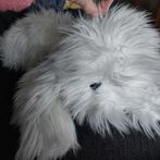 1988 Anna Club Plush Bon Ton hond, Ophalen of Verzenden, Zo goed als nieuw