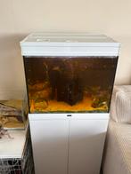 aquarium, Ophalen, Zo goed als nieuw, Gevuld zoetwateraquarium